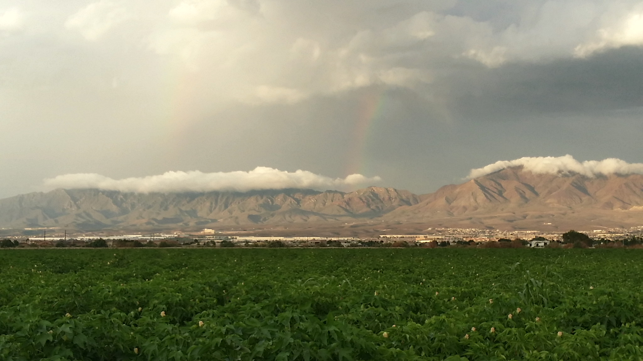 Photo of the Franklin Mountains located in El Paso, Texas.